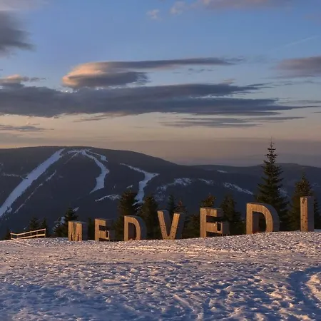 Vila U Medvědína
